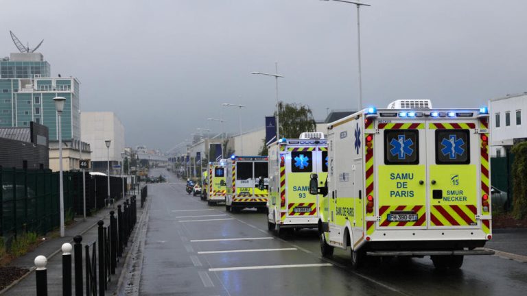 French evacuee from hantavirus-hit ship tests positive, health minister says