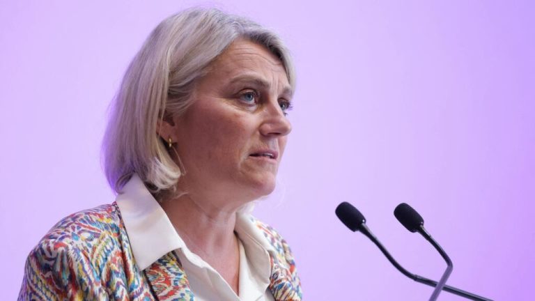 'No evidence' of widespread hantavirus circulation in France, health minister says