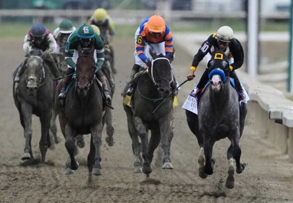 APTOPIX Preakness Horse Racing