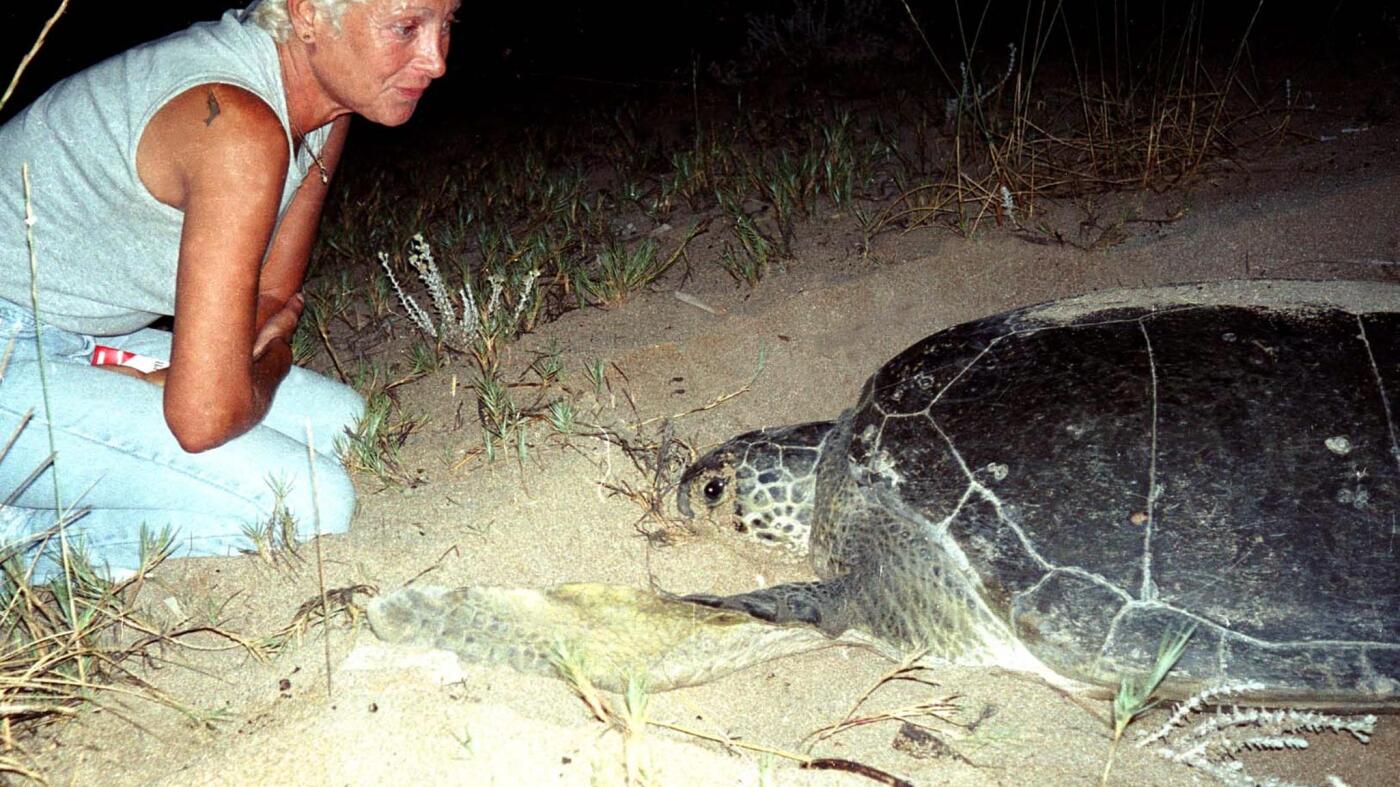Leading Lebanese conservationist dies after Israeli airstrike on her home