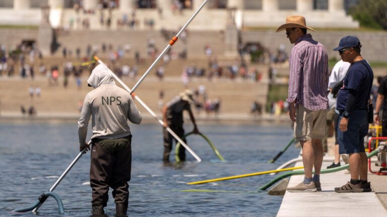 Trump claims vandals damaged D.C. Reflecting Pool, and says it will be drained again