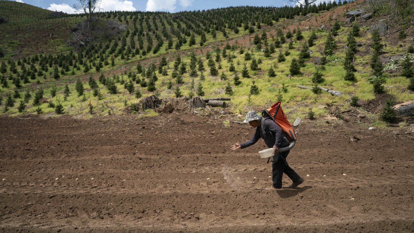 How a fertilizer shortage caused by the Iran war could affect U.S. food prices