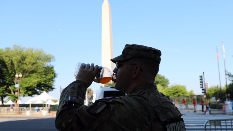 Washington’s July 4 parade is off. The fireworks are still on