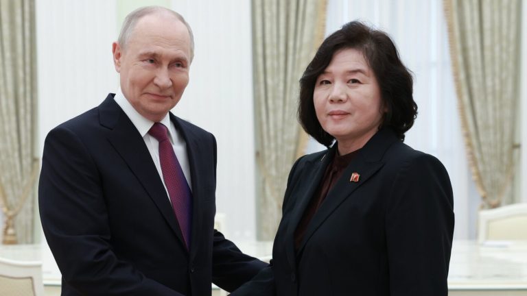 Putin meets North Korean foreign minister in diplomatic push