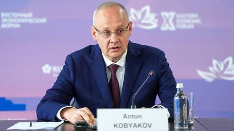 Russia rejects ‘screwdriver assembly’ model for foreign business – Putin aide